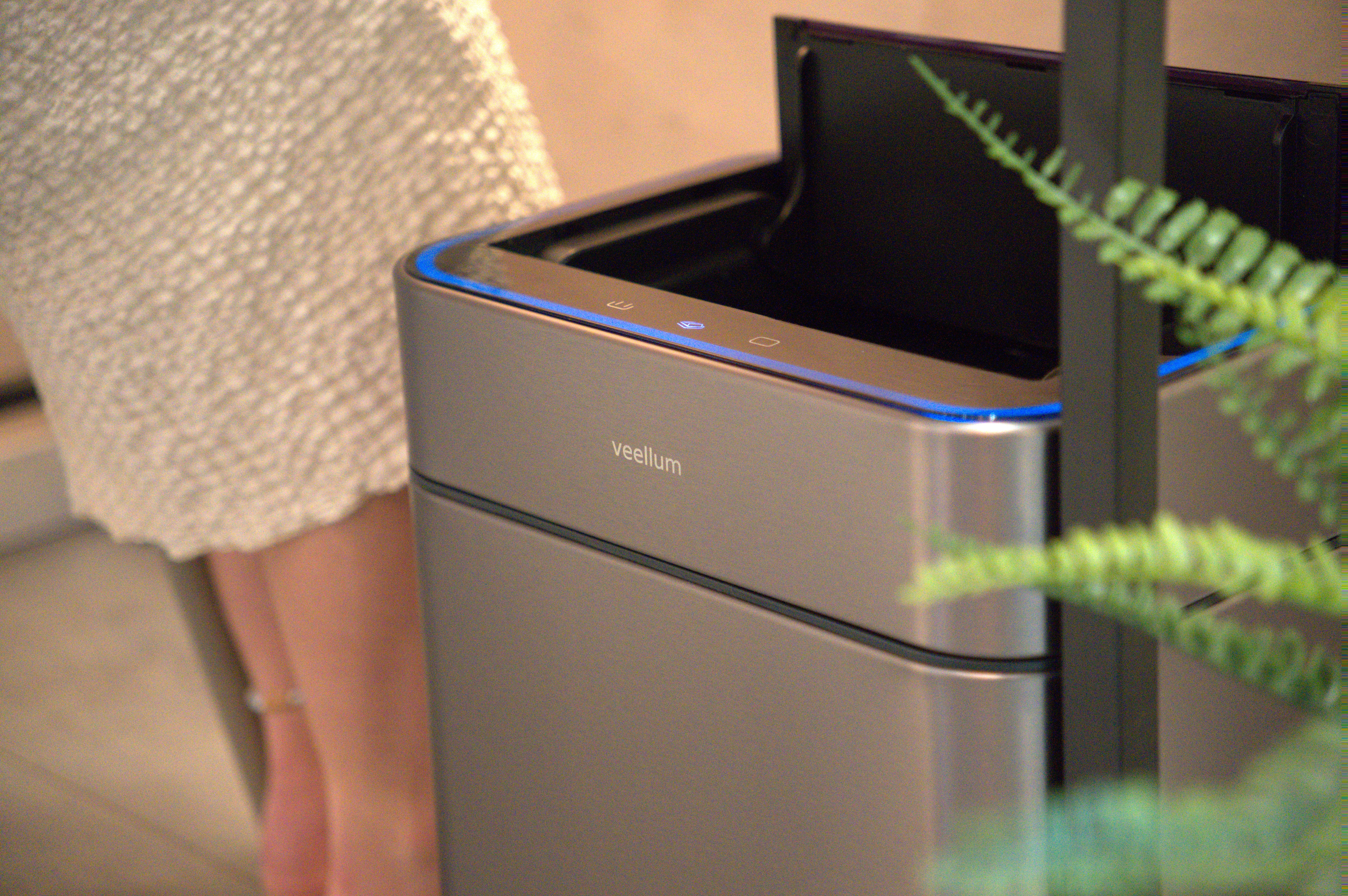 Veellum szenzoros szemetes modern nappali enteriőrben, páfrány mellett